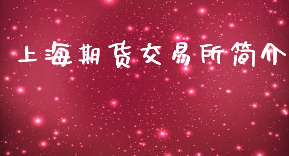 上海期货交易所简介_https://wap.hpmsj.cn_外汇汇率_第1张