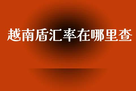 越南盾汇率在哪里查_https://wap.hpmsj.cn_债券投资_第1张