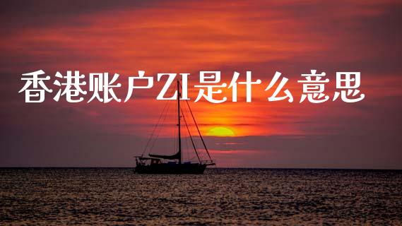 香港账户ZI是什么意思_https://wap.hpmsj.cn_债券投资_第1张