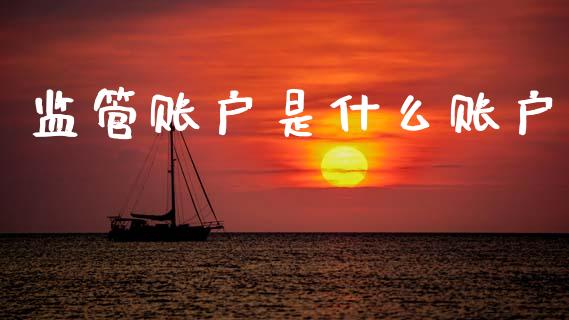 监管账户是什么账户_https://wap.hpmsj.cn_金融机构_第1张