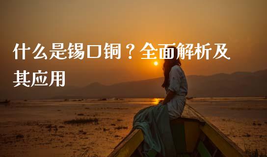 什么是锡口铜？全面解析及其应用_https://wap.hpmsj.cn_外汇汇率_第1张