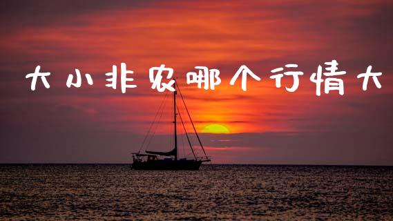 大小非农哪个行情大_https://wap.hpmsj.cn_期货交易_第1张