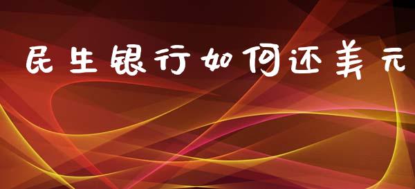 民生银行如何还美元_https://wap.hpmsj.cn_基金分析_第1张