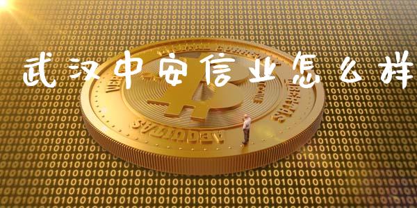 武汉中安信业怎么样_https://wap.hpmsj.cn_财经时评_第1张