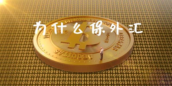 为什么保外汇_https://wap.hpmsj.cn_债券投资_第1张