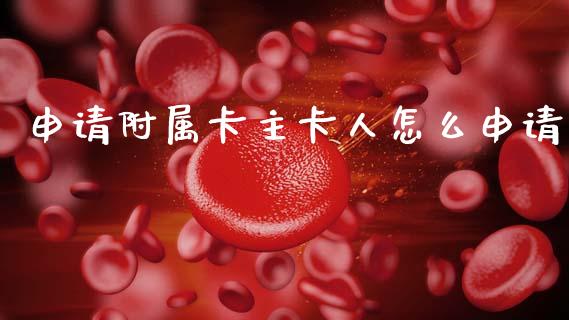 申请附属卡主卡人怎么申请_https://wap.hpmsj.cn_财经时评_第1张