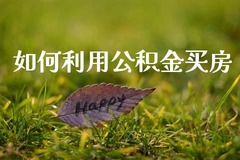 如何利用公积金买房_基金分析_第1张_财经时评_基金分析_期货交易_金融机构_外汇汇率_债券投资 如何利用公积金买房_https://wap.hpmsj.cn_基金分析_第1张