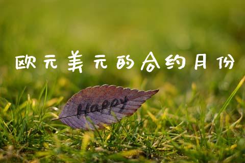 欧元美元的合约月份_https://wap.hpmsj.cn_债券投资_第1张