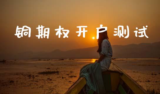 铜期权开户测试_https://wap.hpmsj.cn_外汇汇率_第1张
