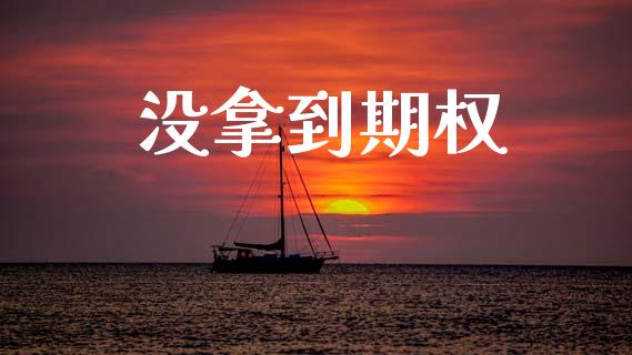 没拿到期权_https://wap.hpmsj.cn_财经时评_第1张