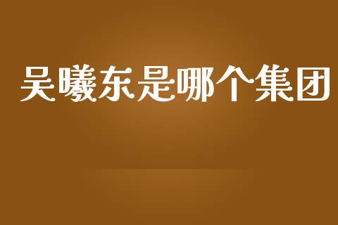 吴曦东是哪个集团_https://wap.hpmsj.cn_债券投资_第1张
