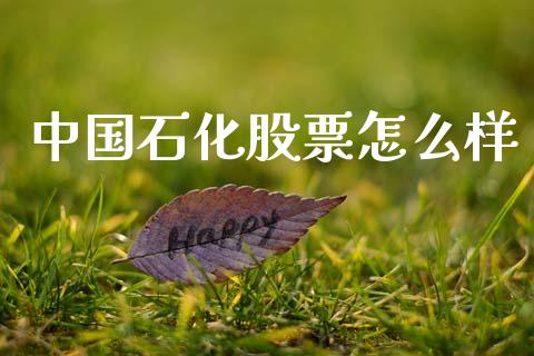 中国石化股票怎么样_https://wap.hpmsj.cn_期货交易_第1张