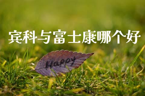 宾科与富士康哪个好_https://wap.hpmsj.cn_债券投资_第1张