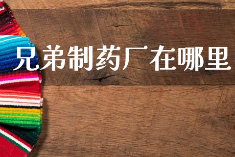 兄弟制药厂在哪里_https://wap.hpmsj.cn_财经时评_第1张