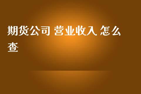 期货公司 营业收入 怎么查_https://wap.hpmsj.cn_基金分析_第1张