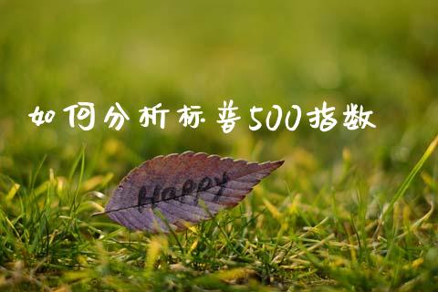 如何分析标普500指数_https://wap.hpmsj.cn_财经时评_第1张