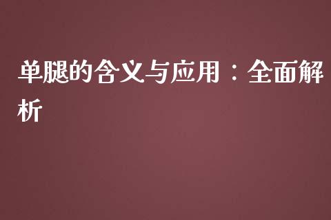 单腿的含义与应用：全面解析_https://wap.hpmsj.cn_基金分析_第1张