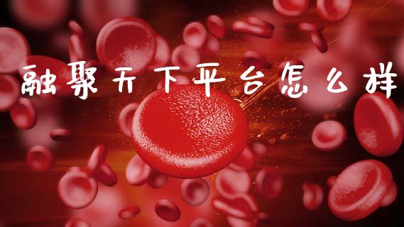 融聚天下平台怎么样_https://wap.hpmsj.cn_外汇汇率_第1张