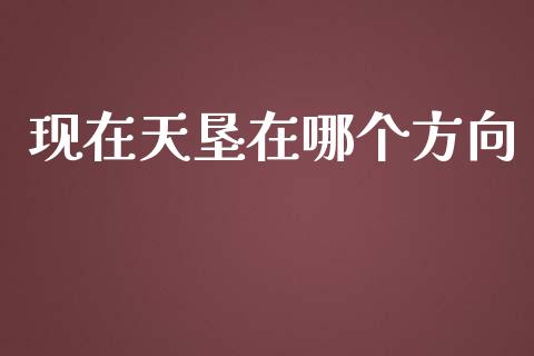 现在天垦在哪个方向_https://wap.hpmsj.cn_债券投资_第1张