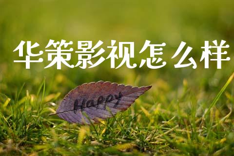 华策影视怎么样_https://wap.hpmsj.cn_债券投资_第1张