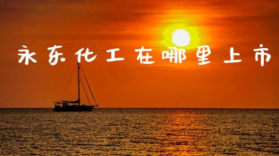 永东化工在哪里上市_https://wap.hpmsj.cn_金融机构_第1张