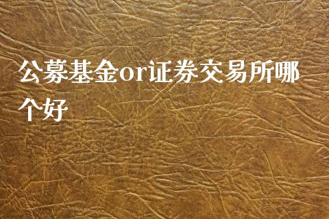 公募基金or证券交易所哪个好_https://wap.hpmsj.cn_债券投资_第1张