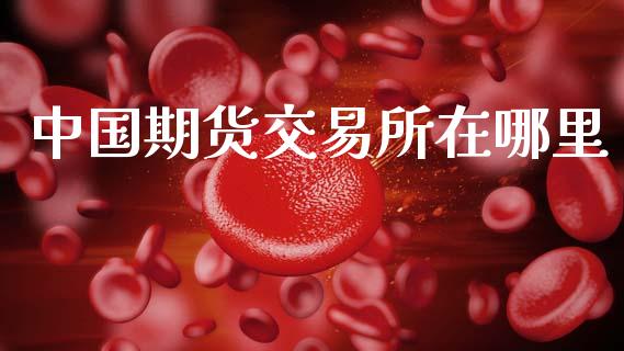 中国期货交易所在哪里_https://wap.hpmsj.cn_外汇汇率_第1张