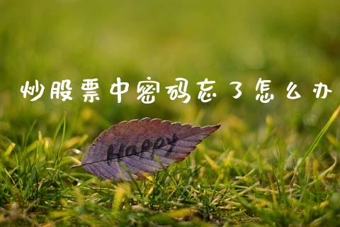 炒股票中密码忘了怎么办_https://wap.hpmsj.cn_财经时评_第1张