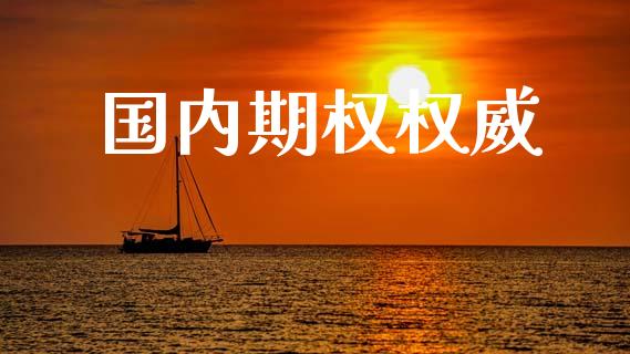 国内期权权威_https://wap.hpmsj.cn_基金分析_第1张