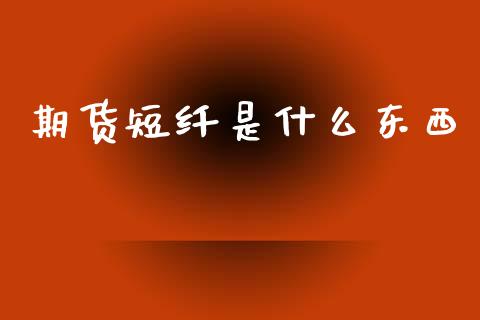 期货短纤是什么东西_外汇汇率_第1张_财经时评_基金分析_期货交易_金融机构_外汇汇率_债券投资 期货短纤是什么东西_https://wap.hpmsj.cn_外汇汇率_第1张