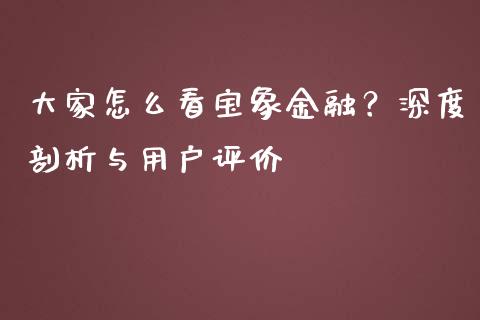 大家怎么看宝象金融？深度剖析与用户评价_https://wap.hpmsj.cn_金融机构_第1张