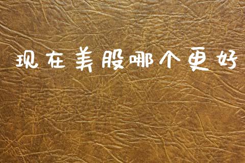 现在美股哪个更好_https://wap.hpmsj.cn_财经时评_第1张