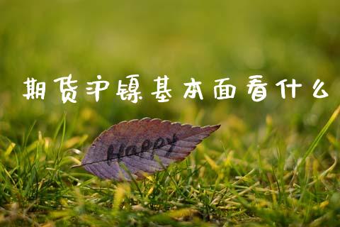 期货沪镍基本面看什么_https://wap.hpmsj.cn_外汇汇率_第1张