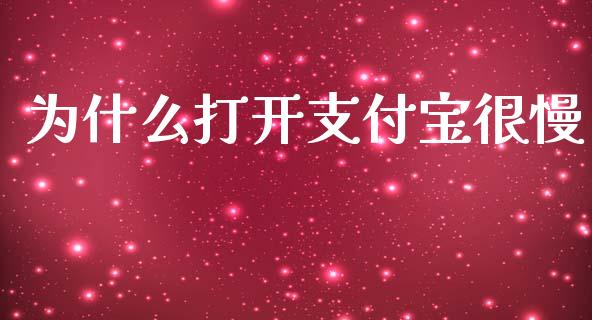 为什么打开支付宝很慢_https://wap.hpmsj.cn_金融机构_第1张