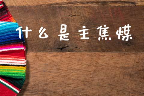 什么是主焦煤_https://wap.hpmsj.cn_债券投资_第1张