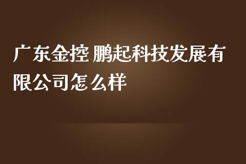 广东金控 鹏起科技发展有限公司怎么样_https://wap.hpmsj.cn_债券投资_第1张