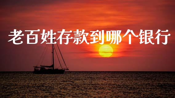 老百姓存款到哪个银行_https://wap.hpmsj.cn_期货交易_第1张