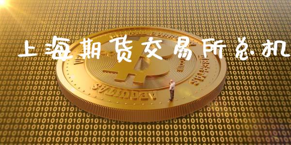 上海期货交易所总机_https://wap.hpmsj.cn_基金分析_第1张