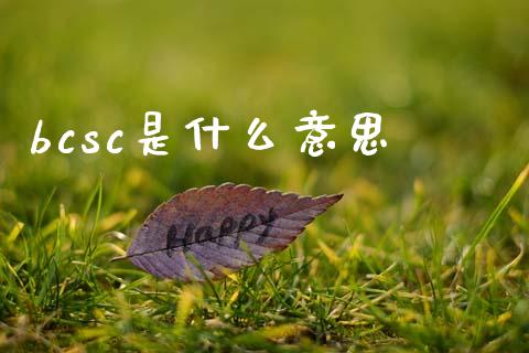 bcsc是什么意思_https://wap.hpmsj.cn_期货交易_第1张