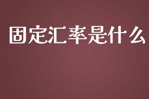 固定汇率是什么_https://wap.hpmsj.cn_财经时评_第1张