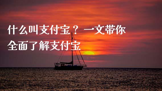 什么叫支付宝？ 一文带你全面了解支付宝_https://wap.hpmsj.cn_债券投资_第1张