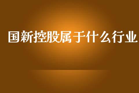 国新控股属于什么行业_https://wap.hpmsj.cn_外汇汇率_第1张