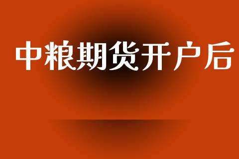 中粮期货开户后_https://wap.hpmsj.cn_外汇汇率_第1张