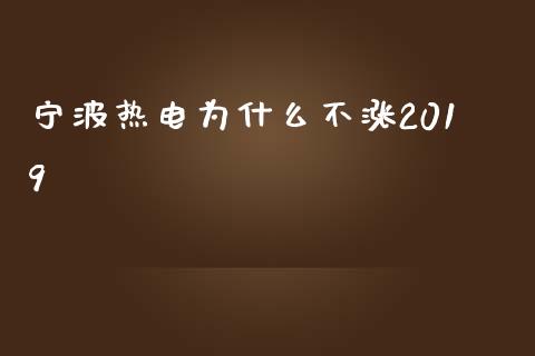 宁波热电为什么不涨2019_https://wap.hpmsj.cn_债券投资_第1张