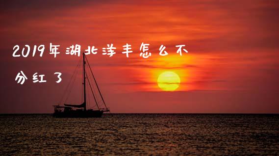 2019年湖北洋丰怎么不分红了_https://wap.hpmsj.cn_外汇汇率_第1张