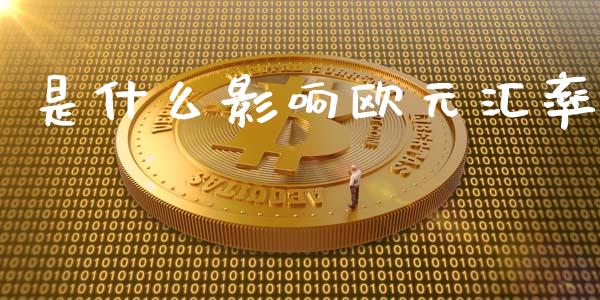 是什么影响欧元汇率_https://wap.hpmsj.cn_基金分析_第1张