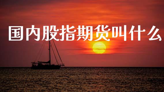 国内股指期货叫什么_https://wap.hpmsj.cn_期货交易_第1张