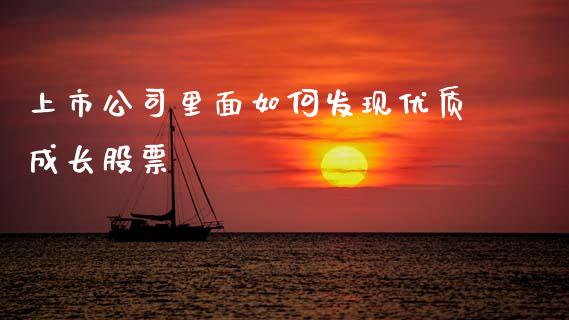 上市公司里面如何发现优质成长股票_https://wap.hpmsj.cn_期货交易_第1张