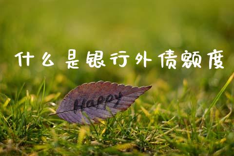 什么是银行外债额度_https://wap.hpmsj.cn_外汇汇率_第1张