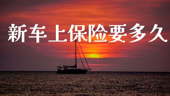 新车上保险要多久_https://wap.hpmsj.cn_期货交易_第1张